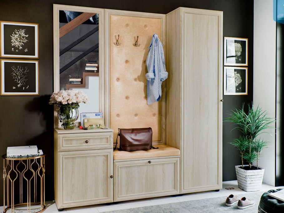 Прихожая Антре Олмеко