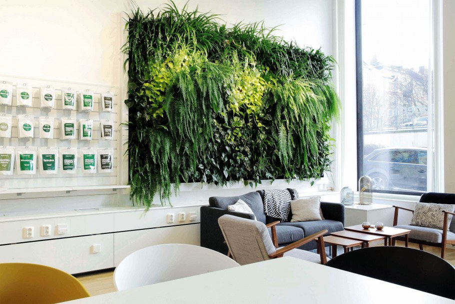 Стена из растений в интерьере