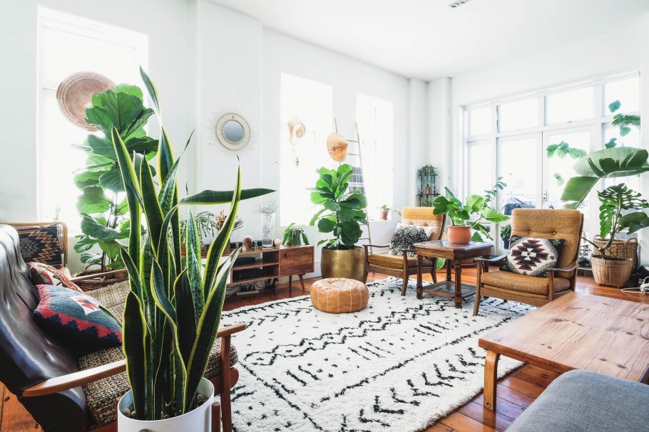 Зал с комнатными растениями