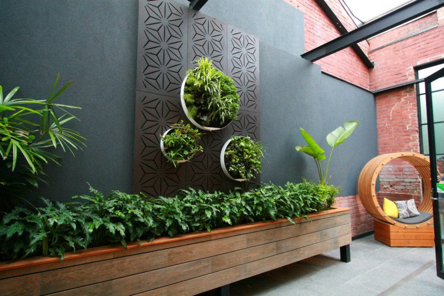 Фитостена с монстерой