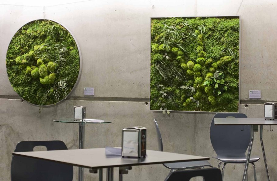 Панно из мха в интерьере