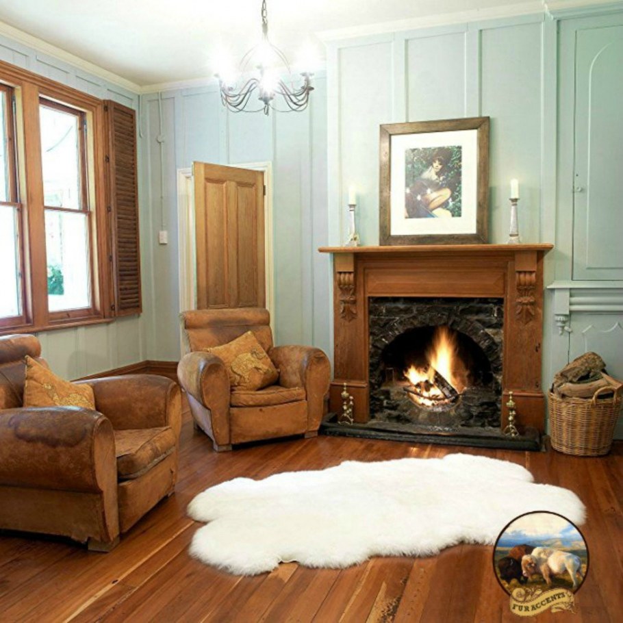 Камин и шкура