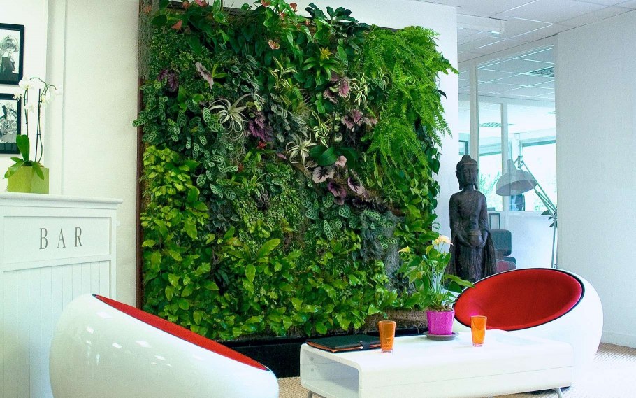 Комнатные растения в доме