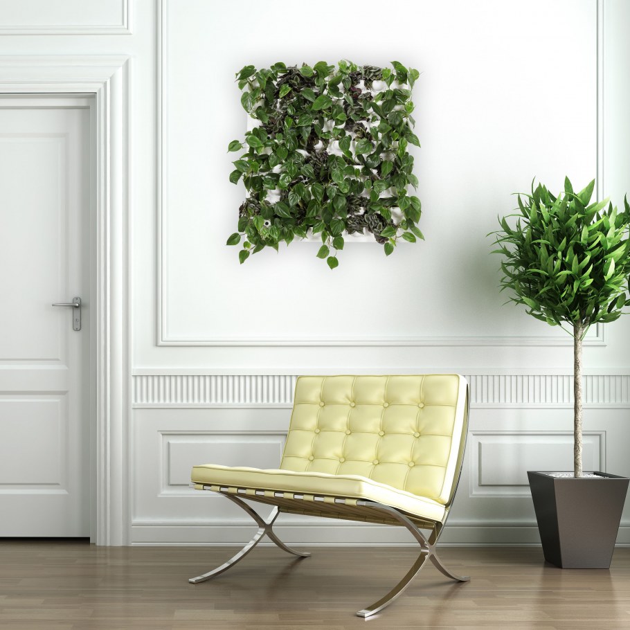 Панно из растений в интерьере