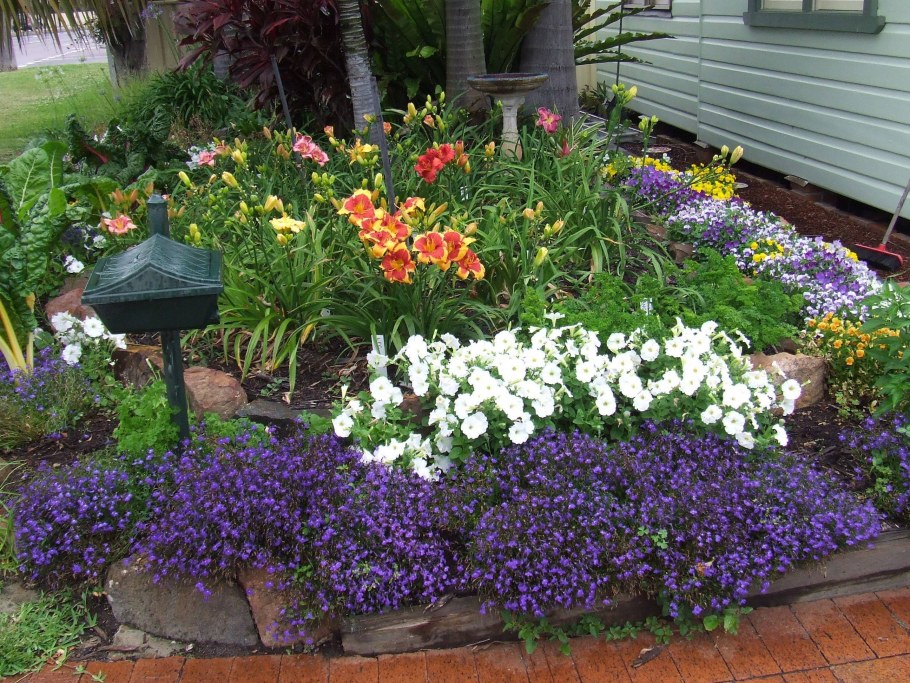 Миксбордеры клумбы рабатки