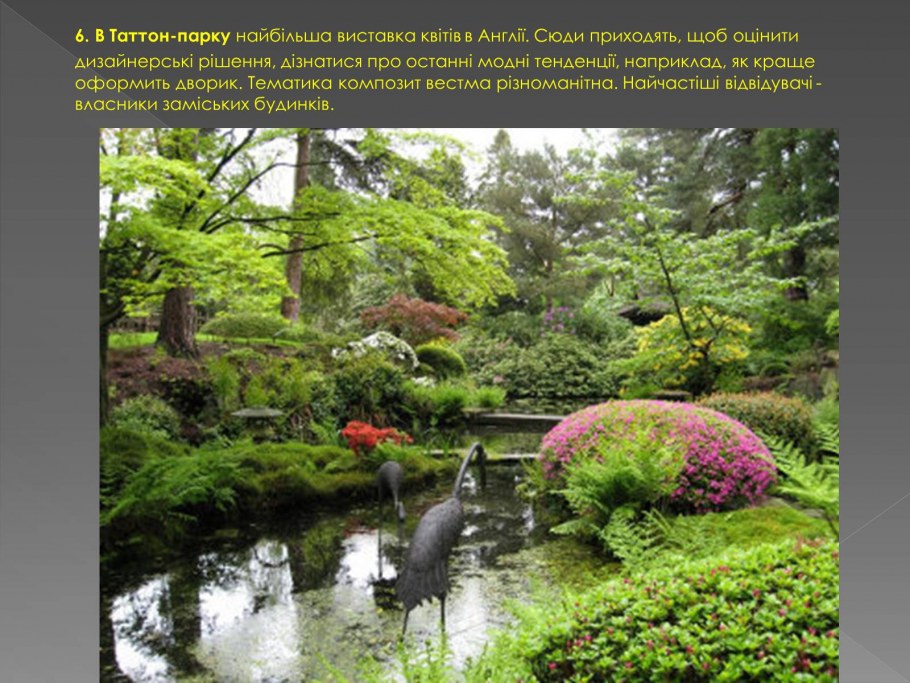 Садово-Парковое искусство Японии сад мхов