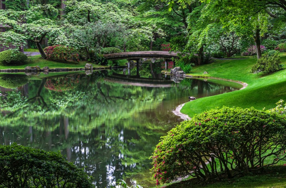 Сады Chinese в Ванкувере