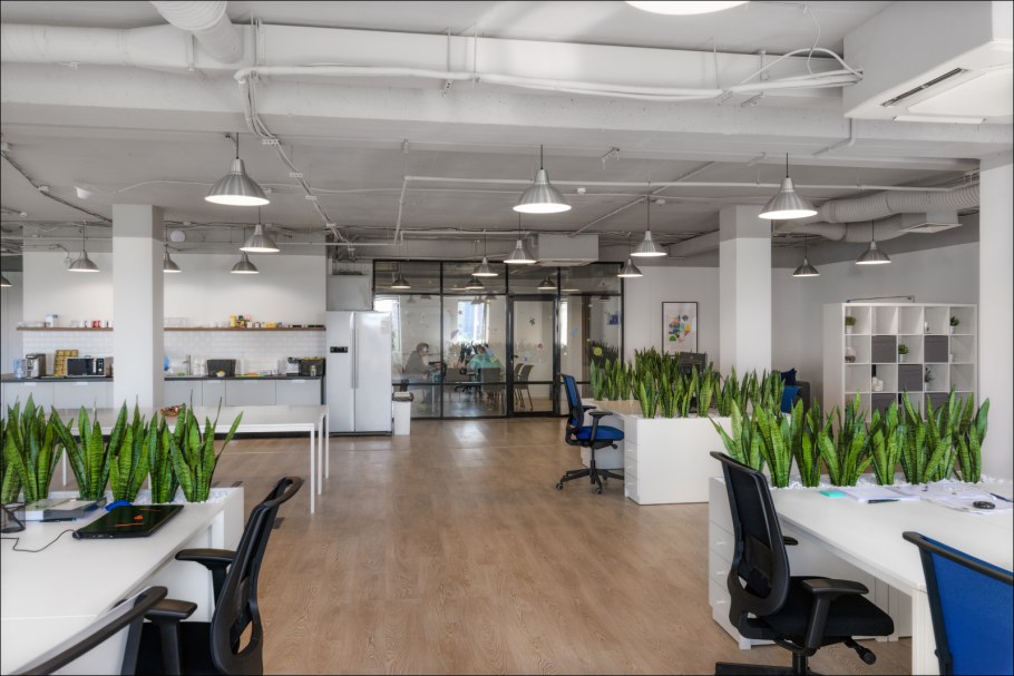 Озеленение офиса