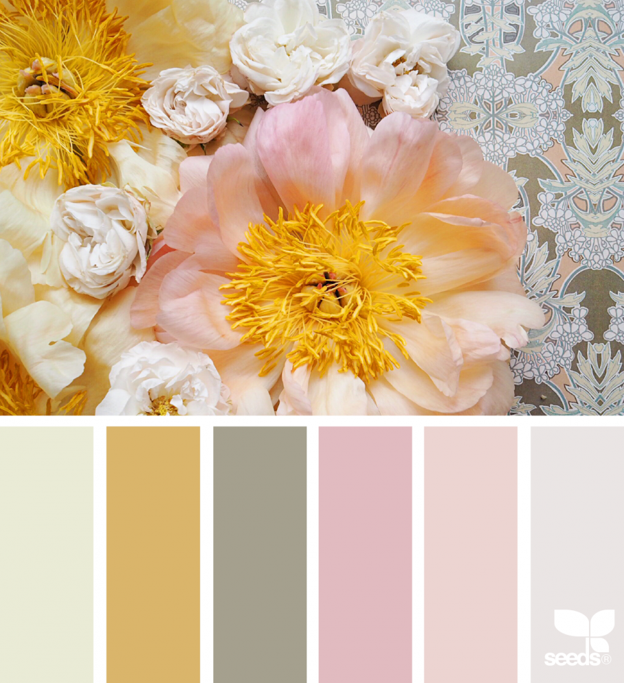 Сочетание цветов золото