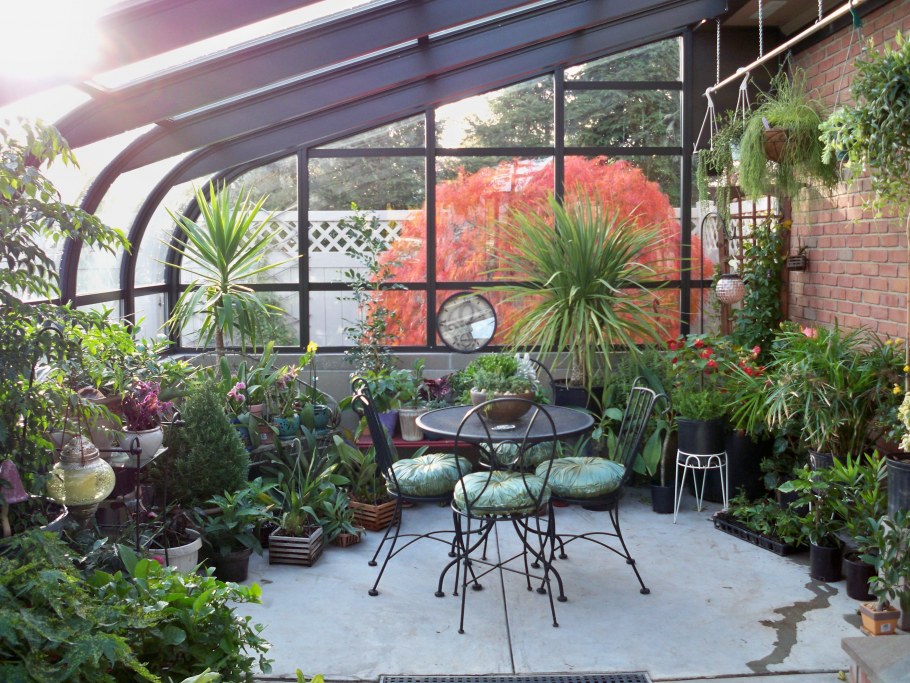 Шешко оранжереи, теплицы, зимние сады