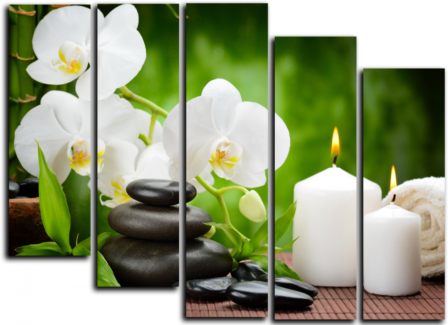 Модульная картина Toplight TL-mm1043