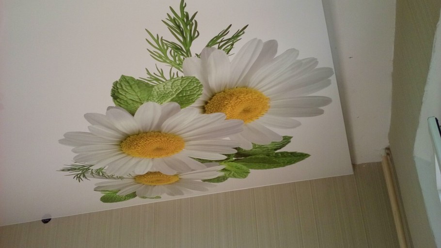 Витражный потолок в ванную