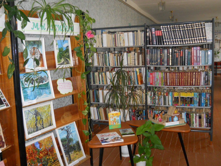 Интерьер сельской библиотеки
