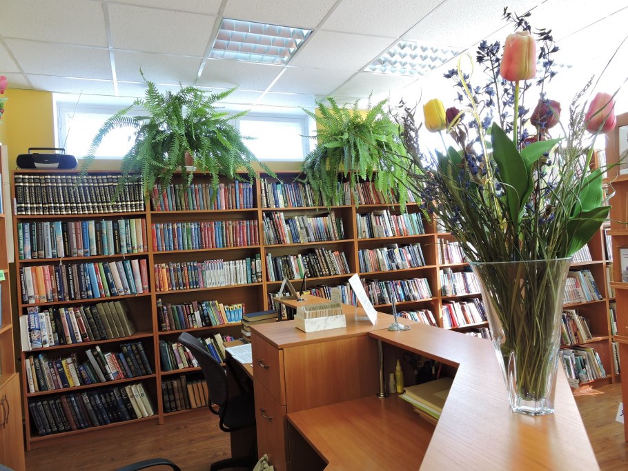 Модельная библиотека