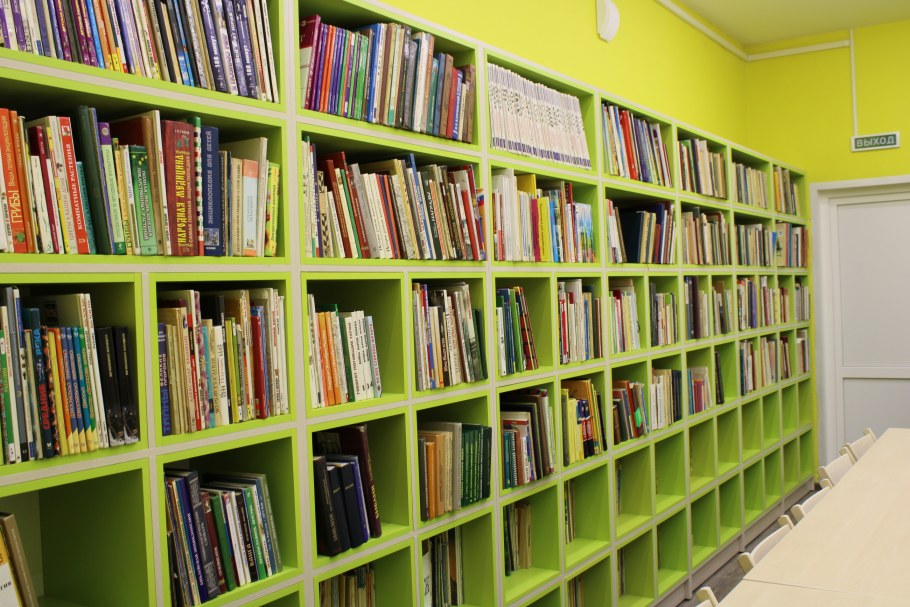 Гагинская модельная библиотека