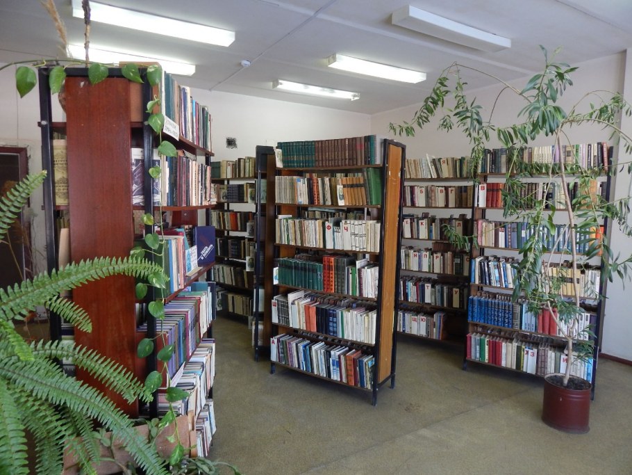 Селеевская библиотека