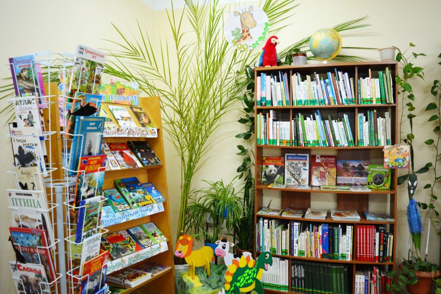 Современная Сельская библиотека