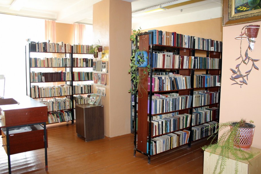 Лозовская Сельская библиотека Московская область