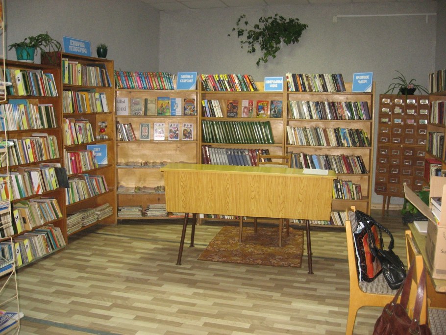 Сельская библиотека