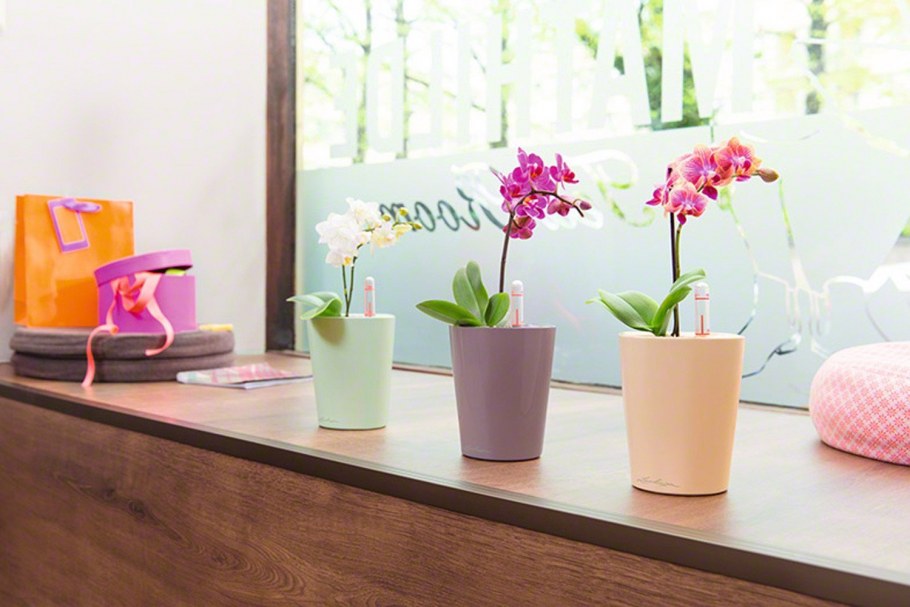 Lechuza Mini Deltini антрацит