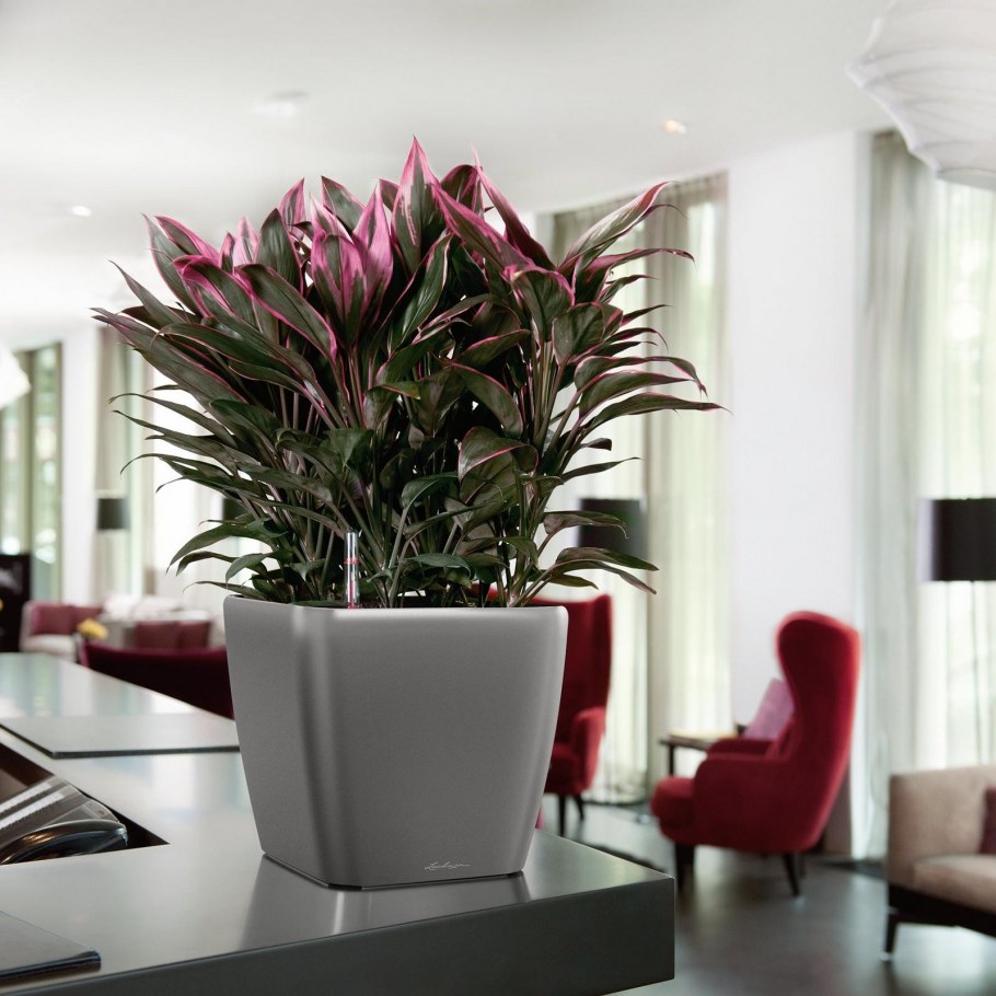 Лечуза Квадро 28