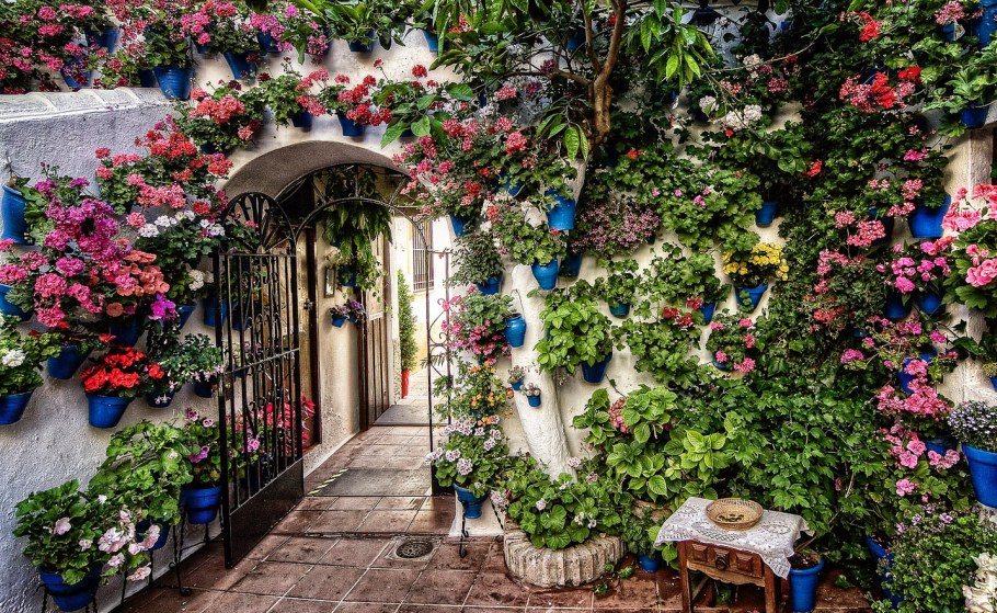 Фестиваль патио в Кордове