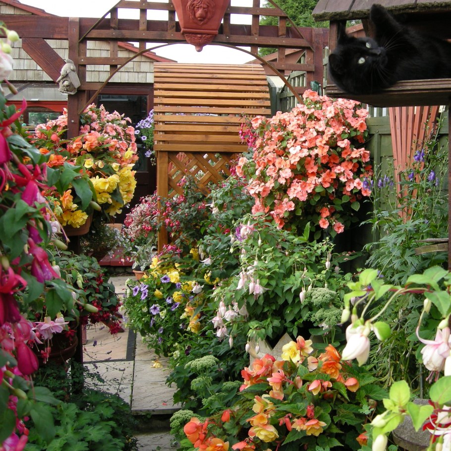 Сад Эдвины Фран