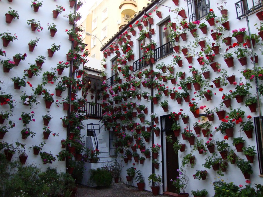 Фестиваль патио в Кордове