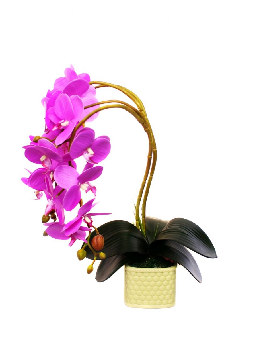 Орхидеи в интерьере