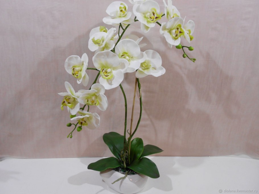 Держатель для искусственной орхидеи своими руками