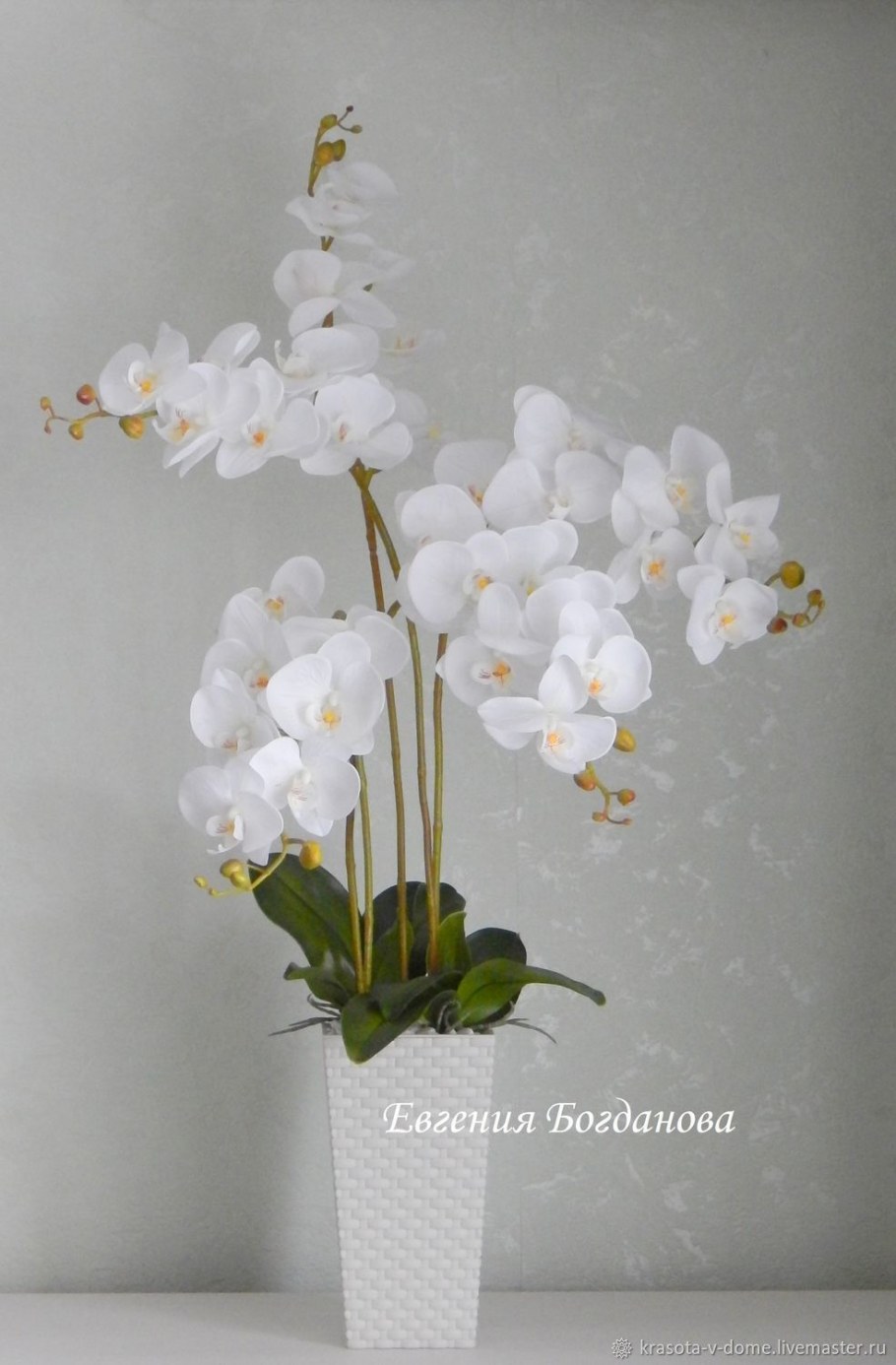 Орхидея фаленопсис в композиции
