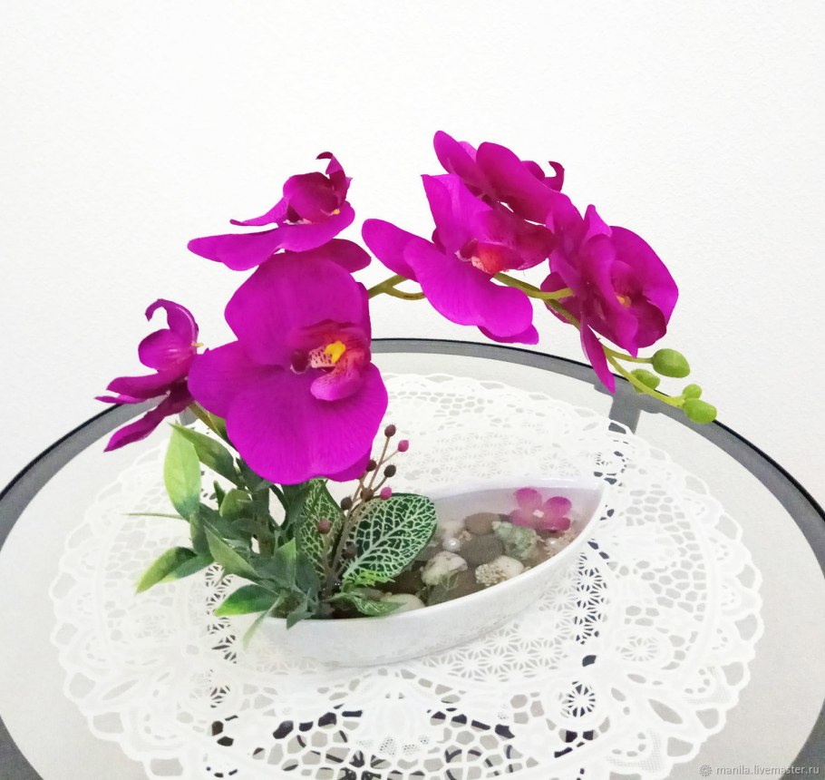 Папоротник фаленопсис