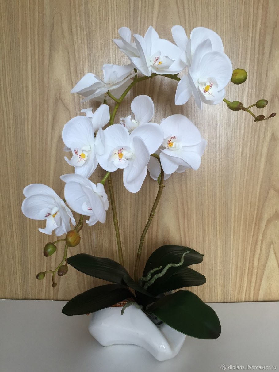 Орхидеи в интерьере