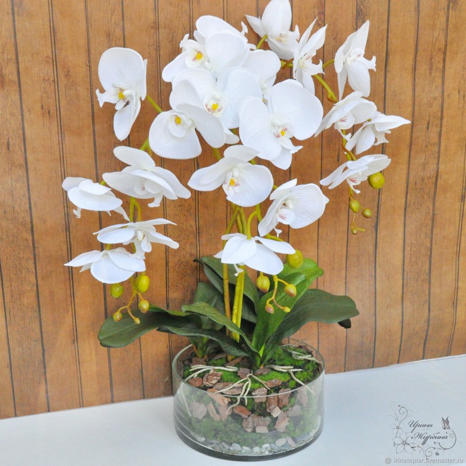 Композиции из орхидей в интерьере