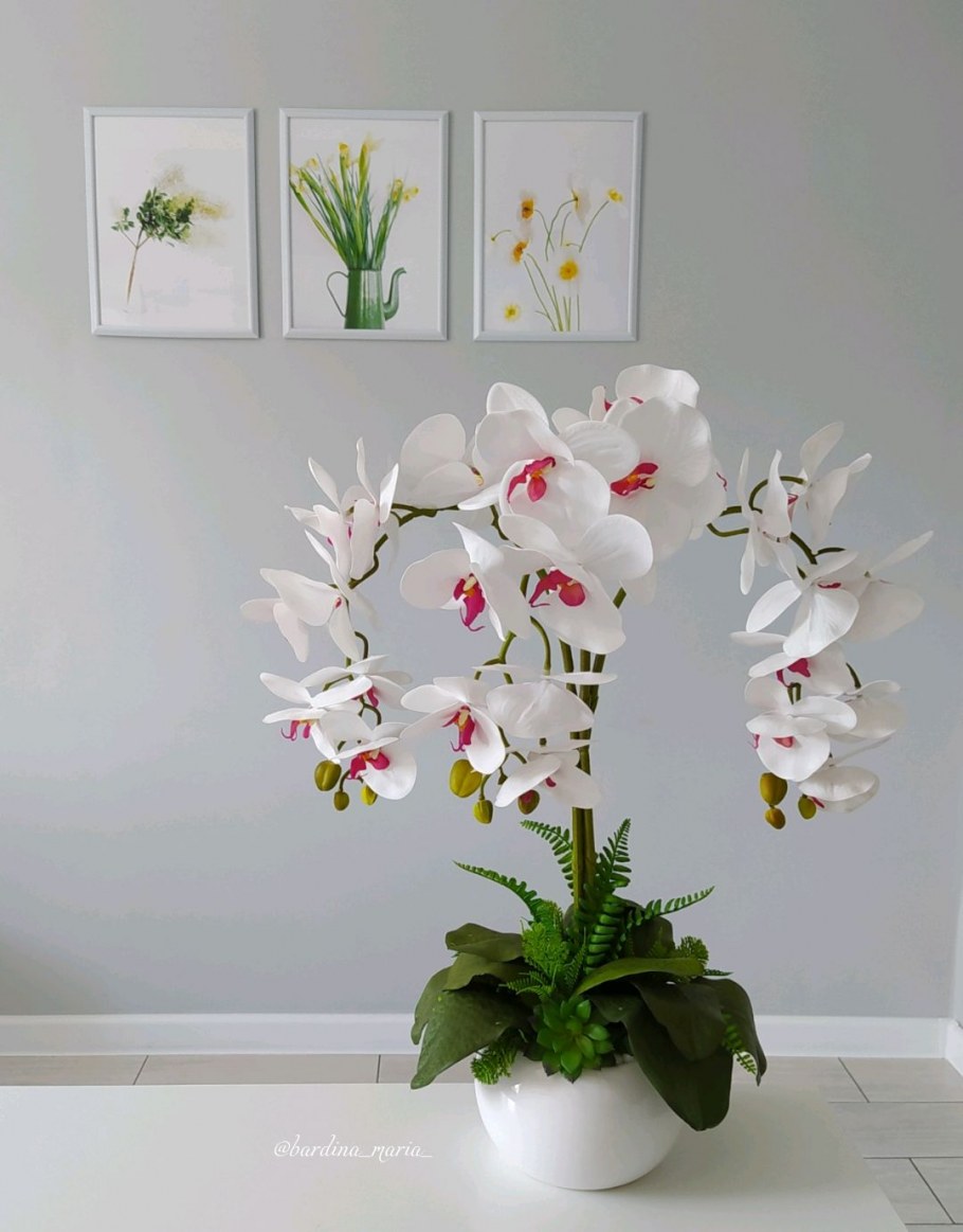 Орхидеи в интерьере