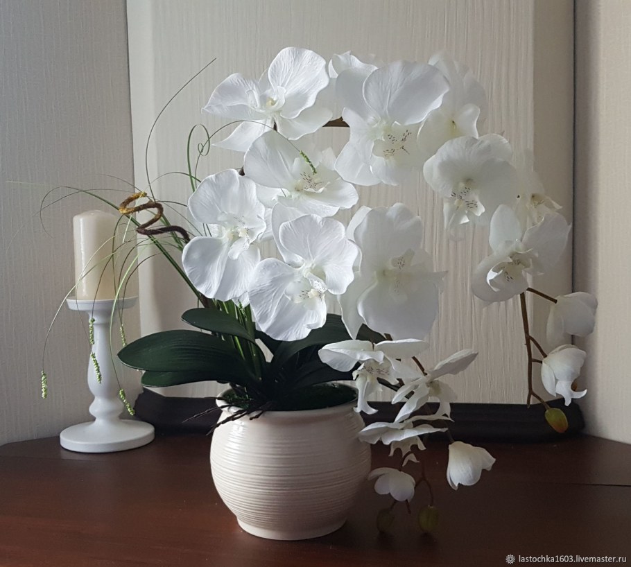 Интерьерные орхидеи