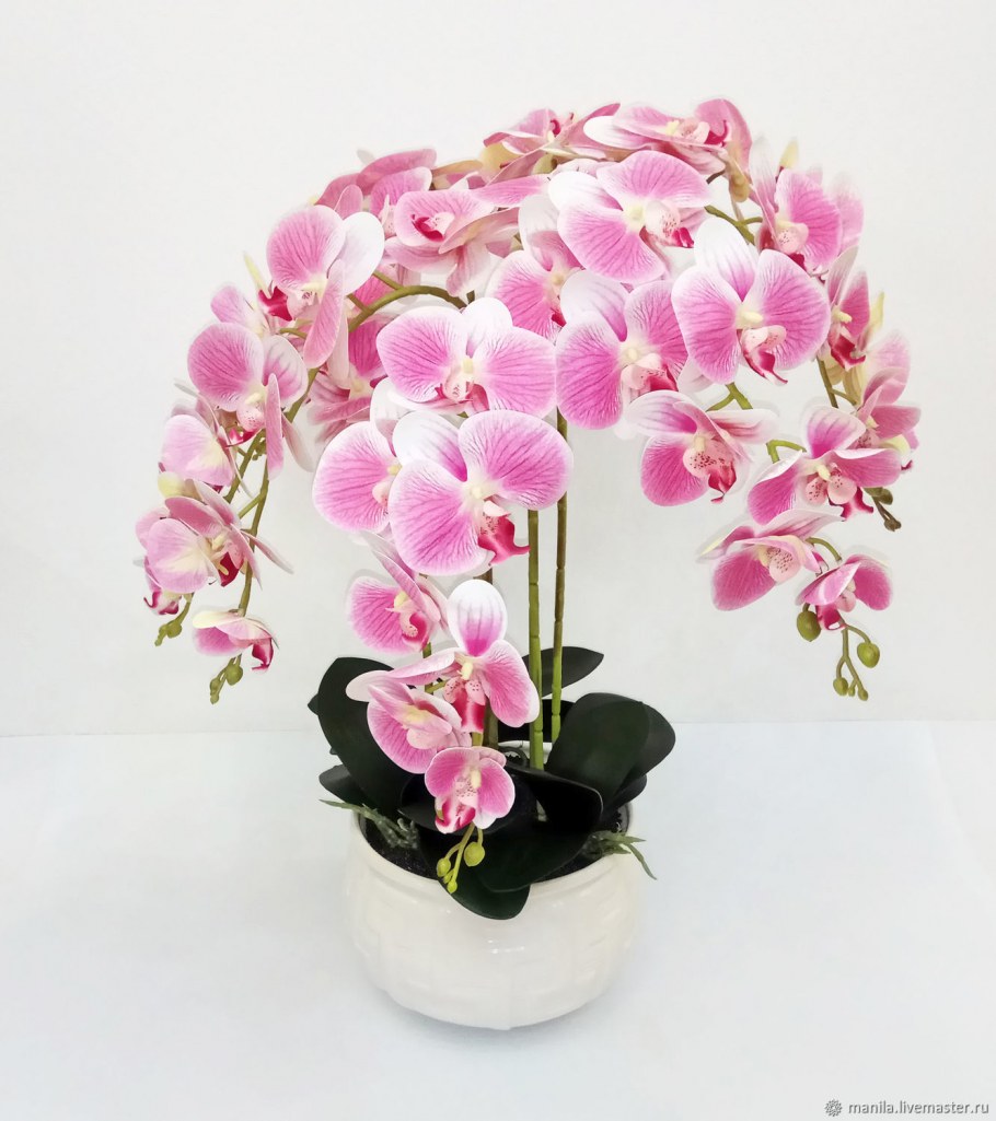 Фаленопсис композиция