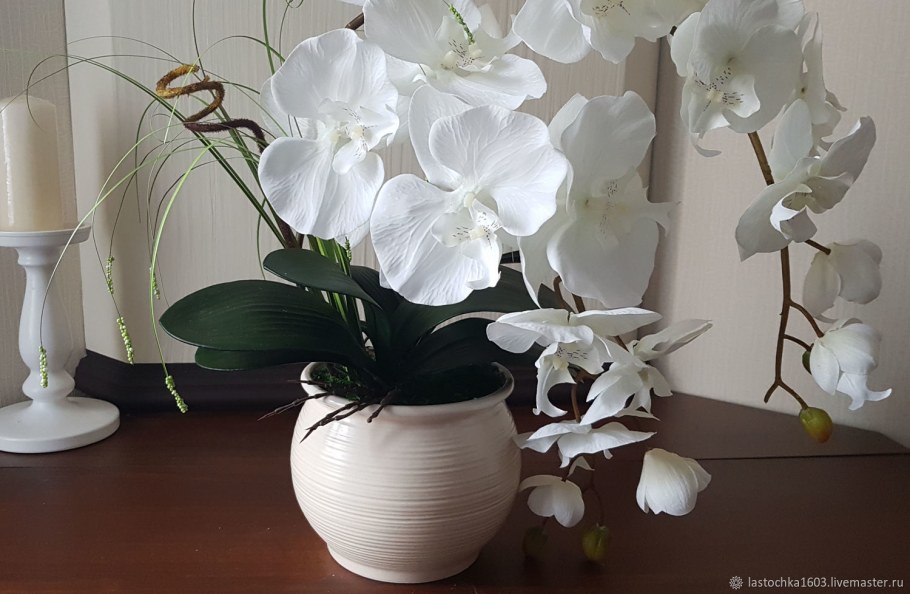Белые орхидеи в интерьере