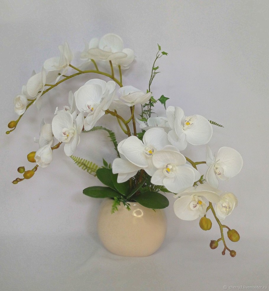 Интерьерные орхидеи