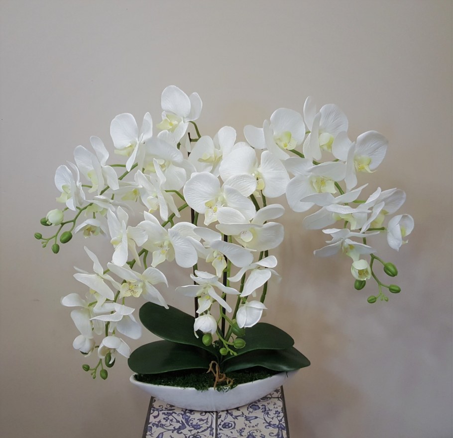 Орхидеи в интерьере