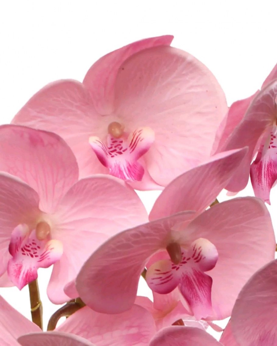 Композиция с орхидеями