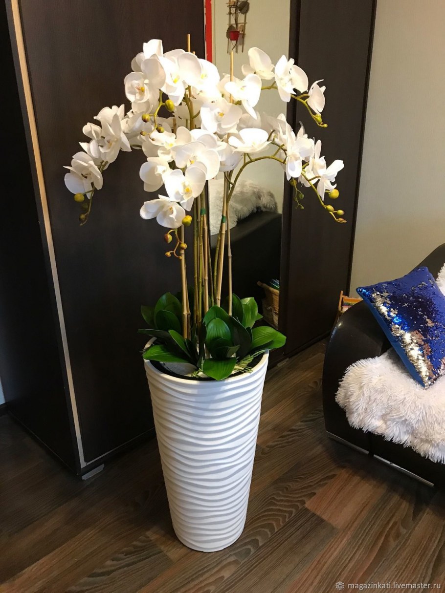 Фаленопсис в стекле