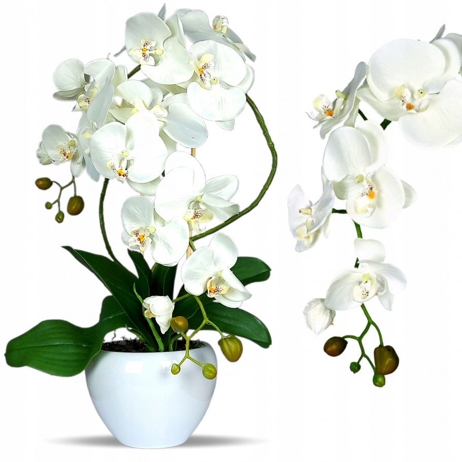 Цветок Орхидея Амабилис 90см