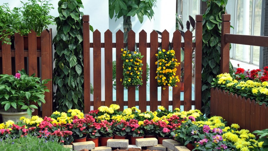 Палисадник Каскад