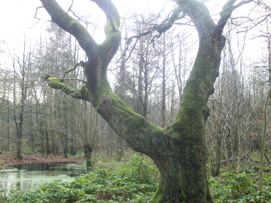 Тимирязевская улица, 1 БЦ