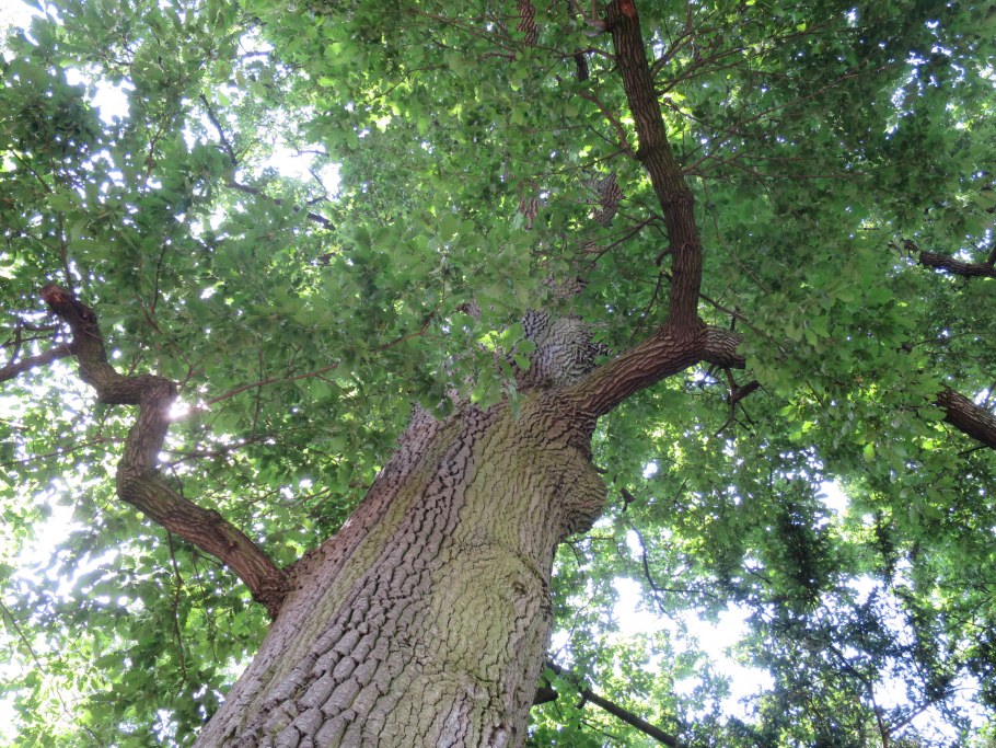 Отель парк Тауэр Тимирязевская внутри