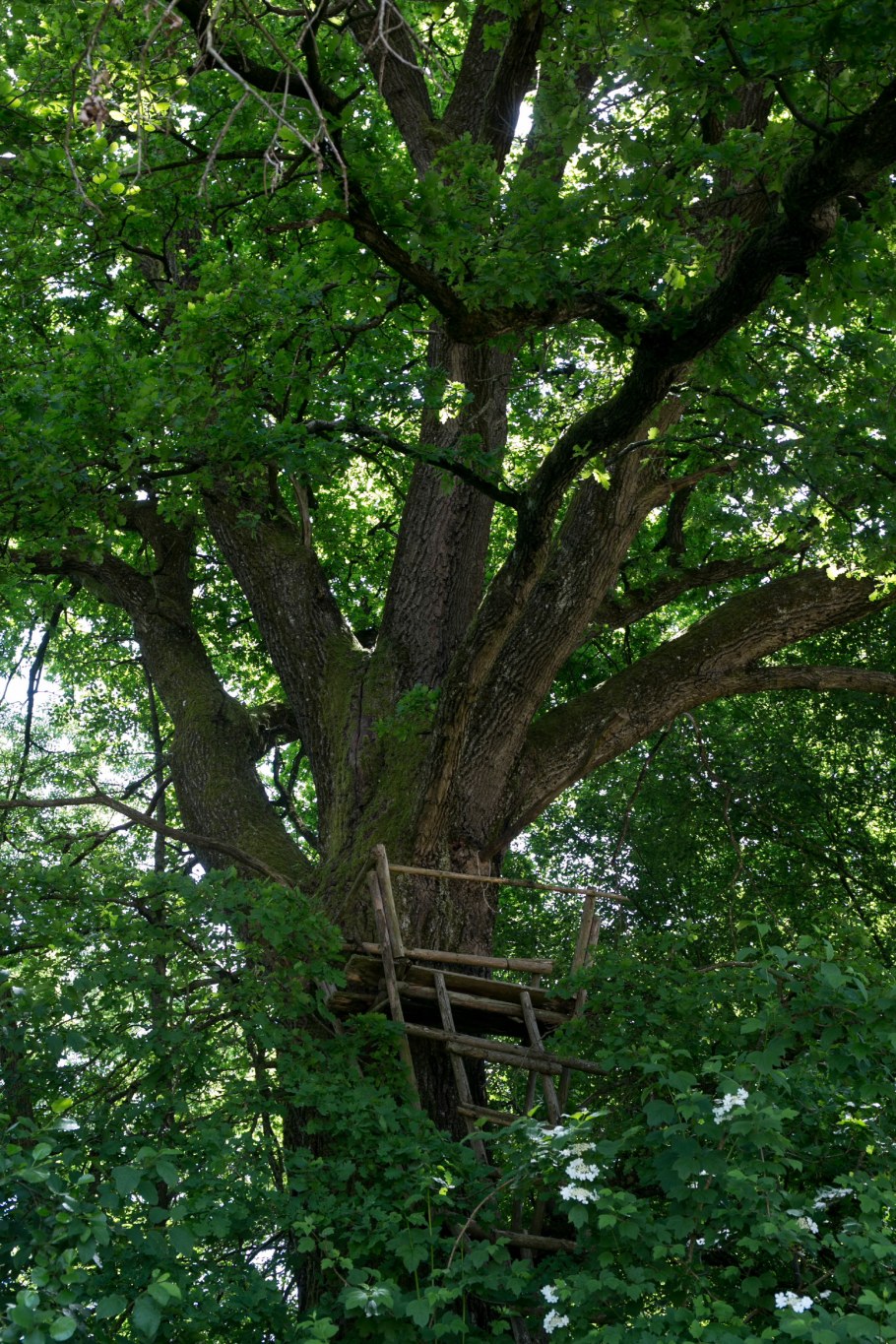 Интерьер художников и их квартир