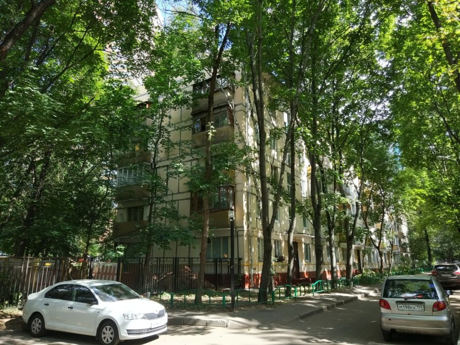 Ляпуновская липа