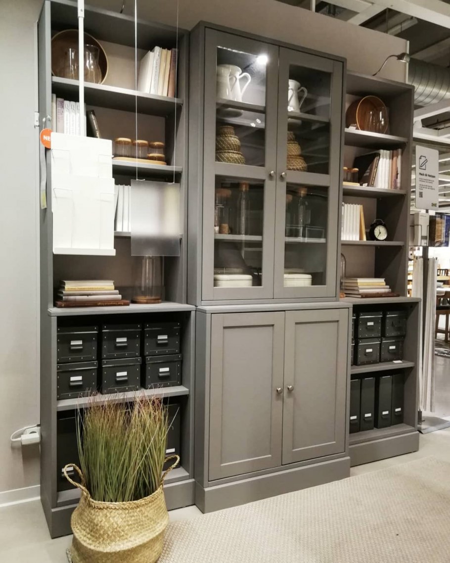 Хавста серый