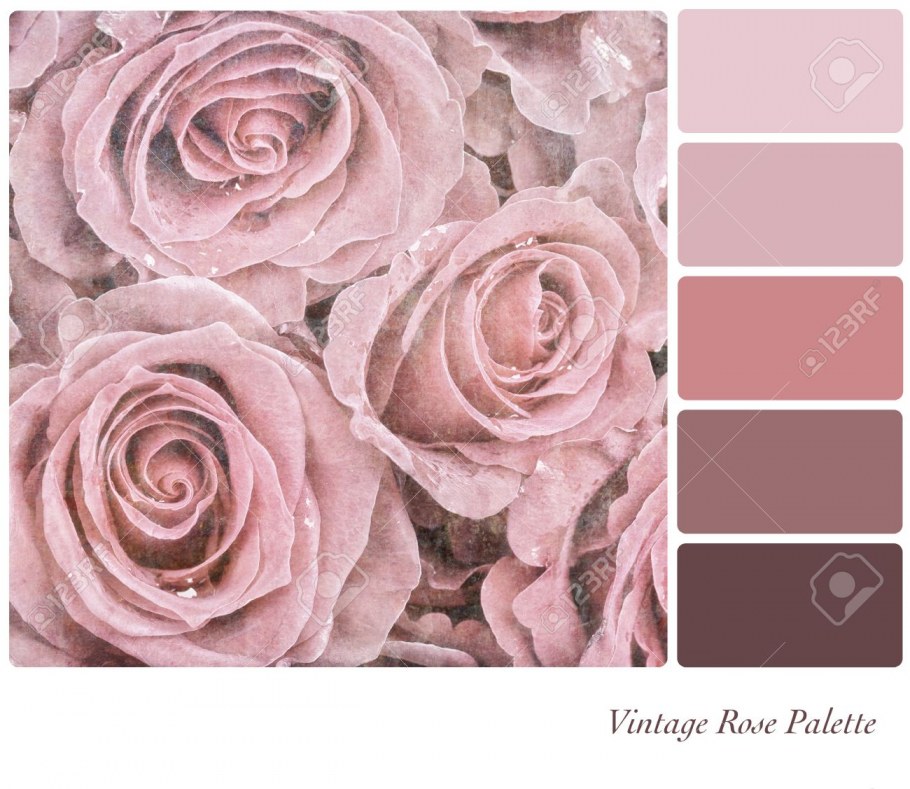Цвет пыльная роза палитра